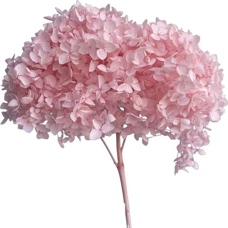 Fleurs D Hortensia Artificielles - Kit Peinture Diy Acrylique - Décoration Salon Salle à Manger - Lot De 3 Tiges 40cm (1/5)