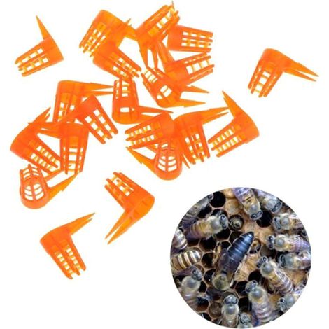 Ensemble de 20 couvercles de ruche, outils apicoles, fournitures d'apiculteur en plastique. - AquaForge (1/5)