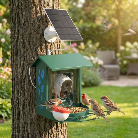 Vogelfutterhaus mit 2K-Smart-Kamera, eichhörnchensicherem Stahlgehäuse, Solarpanel, 30 x 34,5 x 26,3 cm, grün