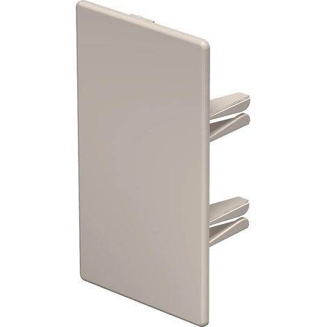 OBO Bettermann Pieza final 60x110mm Cloruro de polivinilo blanco crema RAL 9001, 6162827