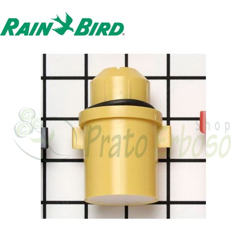 Boccaglio giallo 48 per Eagle 900