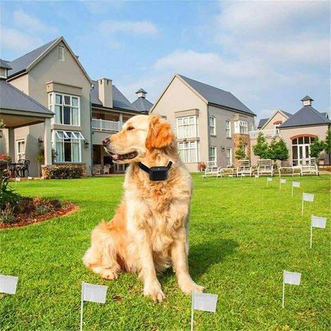 Elektronischer Hundezaun, ferngesteuertes Trainingshalsband für ein bis drei Hunde, unterirdisches elektrisches Hundeeindämmungssystem, unschädlich für alle Hunde. (1/5)