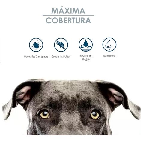 ZOTAL parasital collar repelente perros (peq-med) , Collar parasital repelente para perros pequeños y medianos Zotal Indicados especialmente para perros de compañía Alta ca