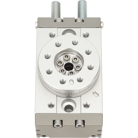 Vérin pneumatique rotatif réglable de 0 à 190°, en alliage d'aluminium haute résistance et étanche, 20 A (1/5)