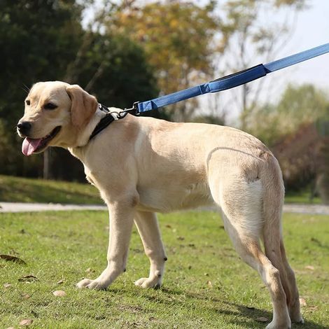 Correa para perros con cómodo mango acolchado, 150 cm Correa reflectante para perros en ambos lados con guía corta integrada, correa para perros de nailon resistente al desgarro para perros medianos y
