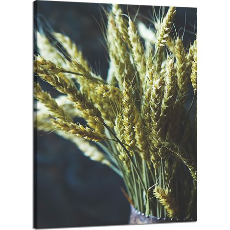 Leinwanddruck Botanik Maiskolben in einer Vase 50x70 cm