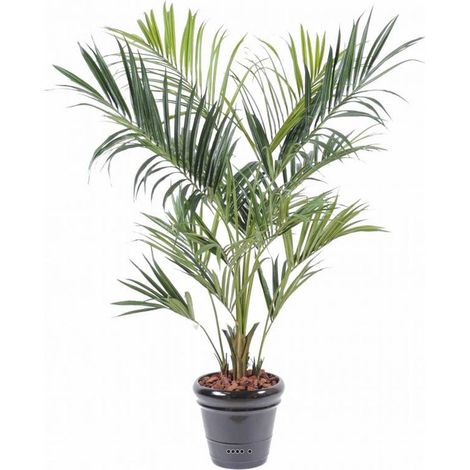 Palmier Kentia Artificiel Royal H 180 cm D 90 cm 14 palmes en pot - dimhaut: H 180 cm - couleur: Vert