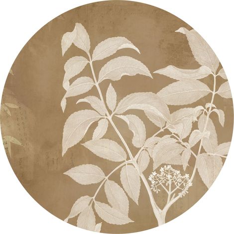 papier peint panoramique rond adhésif feuilles beige - Komar (1/3)