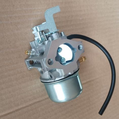 Carburateur Robin EH09/EH09-2 compatible avec l'ensemble carburateur pour petit moteur à essence GKP254E/RAS170 (1/3)
