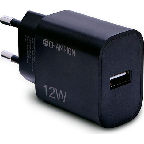 Ladegerat 12w schwarz