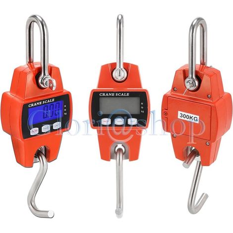 Bilancia Elettronica Pesa Fino 300 Kg Dinamometro Digitale Industriale Gancio (1/2)