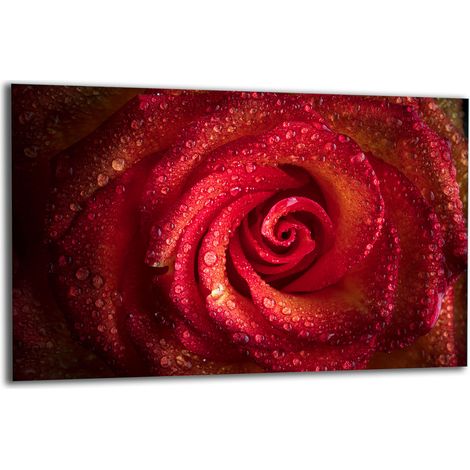 PLAQUE DE PROTECTION EN VERRE POUR CUISINIÈRE 80x52 ROSE (1/5)