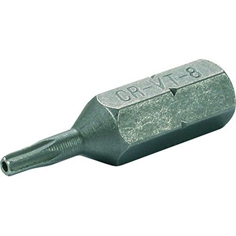 BGS Lecteur de bits hexagonal externe 6,3 mm (1/4") Profil en T (pour TX) avec trou T9