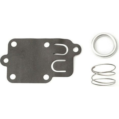 Briggs & Stratton Vergasermembran (1/5)