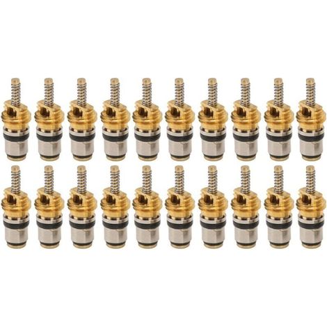 20pcs Tic de noyau de soupape à haute pression pour la plupart des pneus de climatisation de voiture automobile Remplacement de pneu Remplacement de Peugeot (1/4)