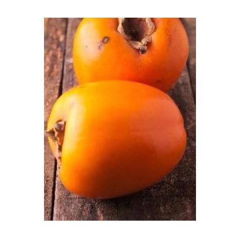 Plaqueminier, Kaki 'Fuyu' Pot de 7,5L/10L, Gobelet (1/3)