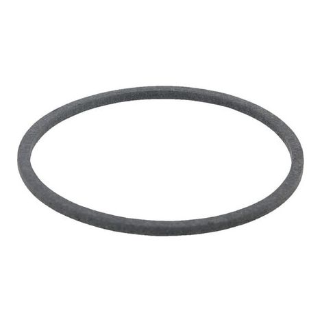 Dichtring AGRIA AGW02909