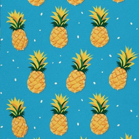 Tela decorativa para exteriores Oxford - Motivo frutal DX6859 (1/5)