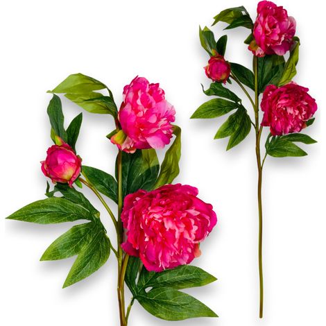Rama de caucho - Peonía rosa oscuro 80 cm (1/5)