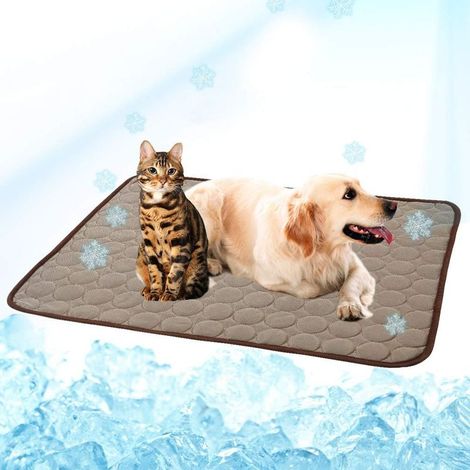 Tapis Rafraîchissant Pour Animaux - Tissu Glacé Auto-Rafraîchissant Sans Énergie - Pour Chien Chat - Utilisation Intérieure Extérieure - 60 x 40 cm - 1 Pièce (1/5)