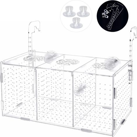 1 Couveuse Aquarium, Acrylique Transparent, 3 Compartiments, Pour Isolement Et Éclosion, Aquarium