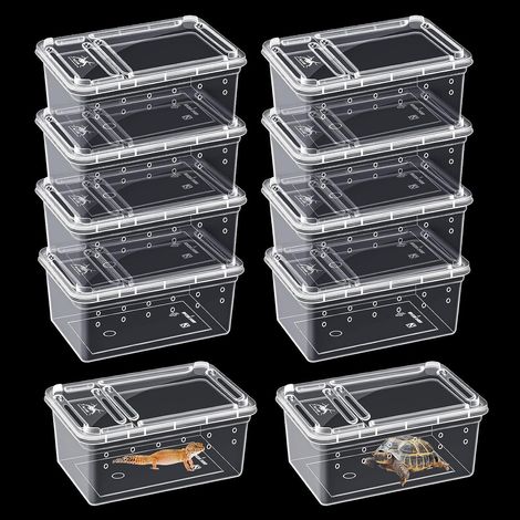 Reptilienzuchtbox – 10er-Pack – Transparenter Kunststoff – Doppelte Belüftungsöffnung – Für Spinnen, Frösche und Schildkröten – 15 x 10 x 6,5 cm (1/5)
