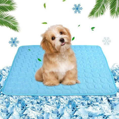 Tapis Rafraichissant Chien55x70cm, Tapis Rafraichissant pour Chien Tapis de Refroidissement pour Chiens et Chats, Mesh Respirant Ice Silk Cool Mat pour Chiens de Petite et Moyenne Taille ou Chats