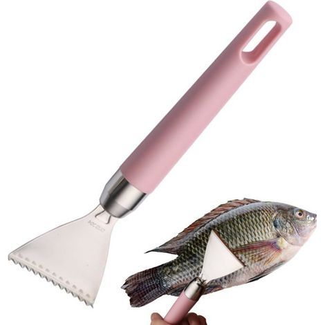 BelleRise – Universeller Fischschuppenschaber, Küchenzubehör aus Edelstahl – Schuppenschaber und Reibe (1/5)