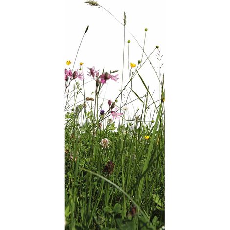 Papier peint panoramique herbe blanc & vert | Tapisserie panoramique fleur des champs pour couloir | Papier peint panoramique salon & cuisine - 280 x 100 cm (1 pièce) (1/2)