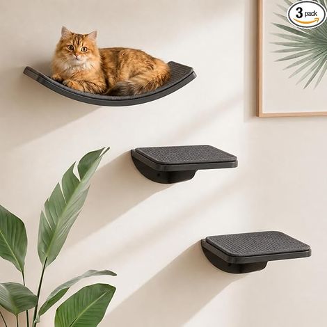 Cat Climbing Frame Set with Scratching Mat, Cat Wall Furniture Set with 2 Steps and Curved Platforms, Cat Wooden Shelves for Sleeping and Playing (1/5)