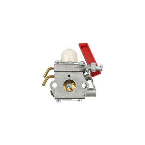 Carburateur pour tondeuse Homelite B25C BC2500R D725CD D825SB F2020 F3040 F3050 - Kit carburateur - Accessoires carburateur