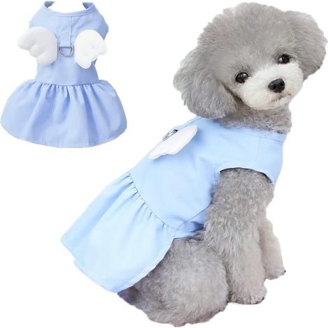 1 robe pour chien, coton léger, motif ailes d'ange, bleu, taille S/M/L/XL, été/automne (1/5)