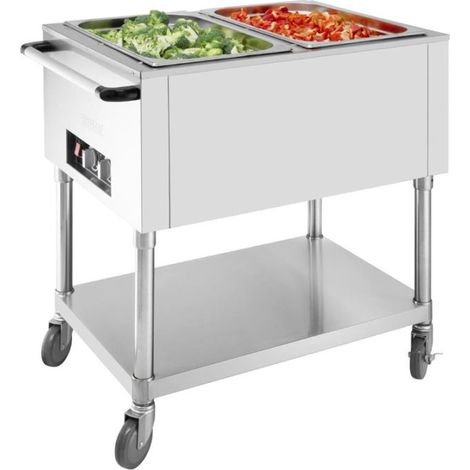 Bain-marie électrique mobile PRO 2 x GN 1/1, 500 W, 220 V - MONO (1/5)