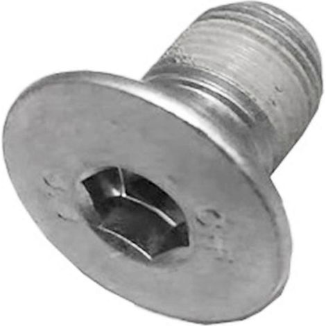 1 vis de serrage de volant (petite vis) 1036655-00-a pour modèle SX 3 Y 2012-2021 (1/5)