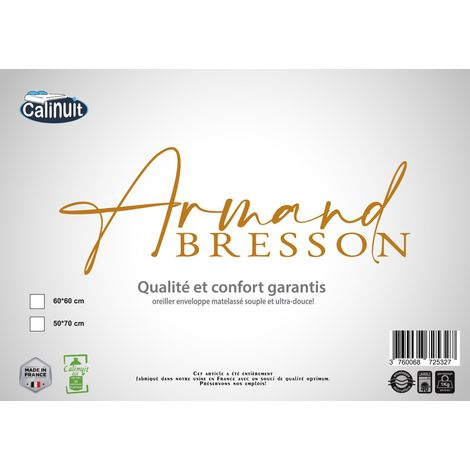 Oreiller Armand Bresson  60 x 60 cm (1/5)