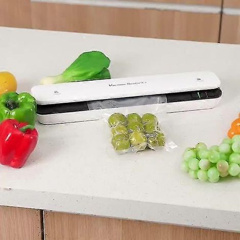Machine de mise sous vide pour aliments secs et humides, système de scellage automatique, design compact 15 pouces, avec 10 sachets B.