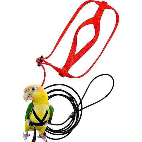 1 Harnais pour perroquet, longe réglable en nylon, poignée antidérapante, accessoire entraînement extérieur (1/5)