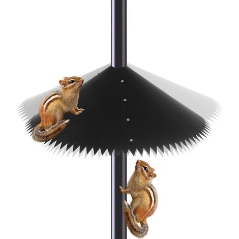 Eichhörnchenschutz - Anti-Eichhörnchen-Barriere - Frühlingsfutterspender (1/5)
