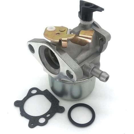 Carburateurs pour moteurs Briggs & Stratton Quantum - pièces détachées pour carburateurs (1/4)