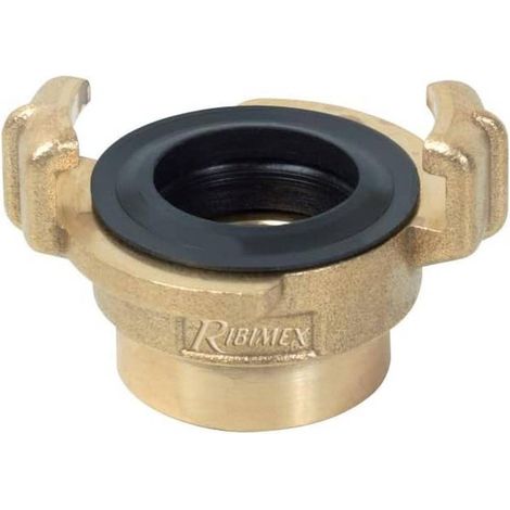 Raccord Express Laiton Fileté Femelle 1/2 po - Connexion Instantanée - Résistant et Durable - Étanche - D-Work