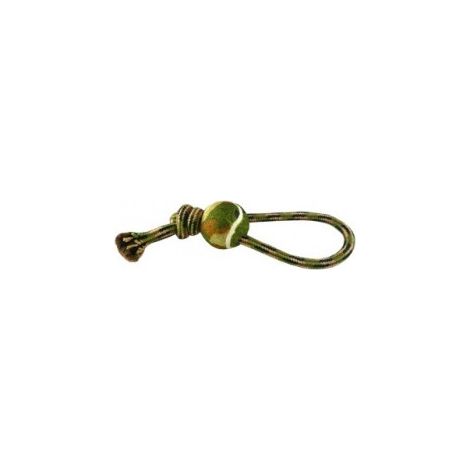 Filtre transparent de robinet de chi fluval