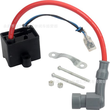 Zubehör für Mini-Motorräder/Fahrräder 50ccm/80ccm 2-Takt Hochspannungszündspule Befestigungsschrauben (Füllmaterial) (1/5)