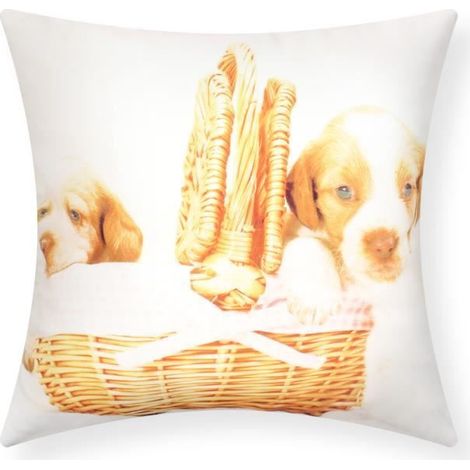 Housses de Coussin - AVIZAR - Lot de 2 - 40x40 cm - Motif Chiots - Multicolore (1/5)