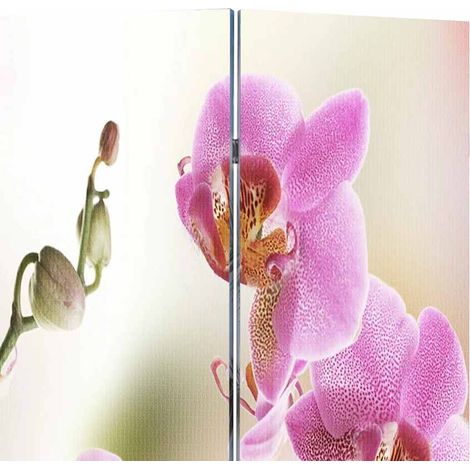 Paravent Cloison de séparation pliable, Pour Jardin, Balcon, Terrasse 120 x 170 cm Fleur OIB4483E (1/5)
