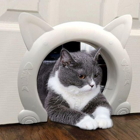 porte De Chat Porte De Chat Dimensions Du Cadre : Hauteur 27cm Largeur 31cm Paisseur 5,5cm Intrieure Porte De Chat Pour Porte Intrieure, Portes Po (1/5)