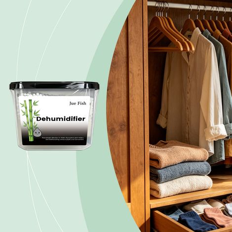 Dehumidifier box for wardrobes and cabinets, used to absorb moisture and prevent mold in enclosed indoor spaces -- 1 piece -- BIEMMEDUE (1/5)