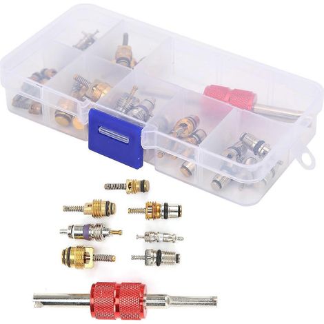 40 inserts de valve de climatisation automobile avec outil de démontage 5101791AA / 5189373AA, compatibles avec Chrysler