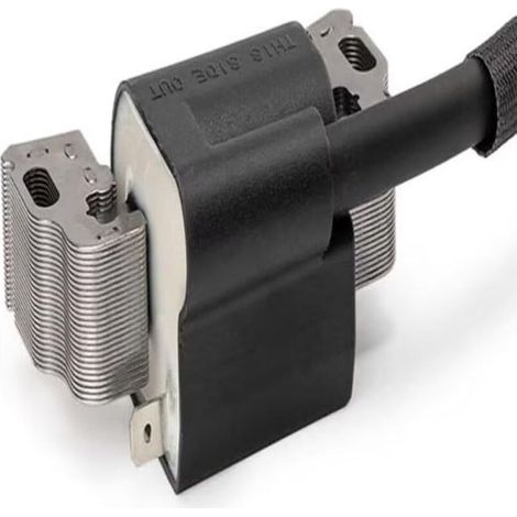 1 module magnétique d'ancrage de bobine d'allumage 594626 594456 pour moteur 592841 595038 594626 595304 799650 795315 (1/3)