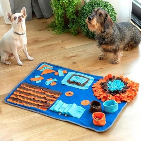 Tapis d’éveil pour chien - Foofield - Bleu - Ludique - Résistant - Éducatif (1/4)