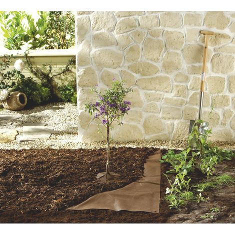 Tessuto pacciamante, 10 x 1,5 m, 70 g/m², marrone (1/4)